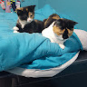 Meet your Posher, Kimberley